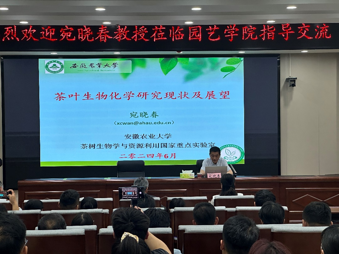 纸牌游戏在线