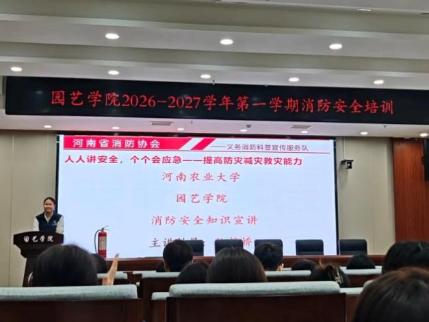纸牌游戏在线