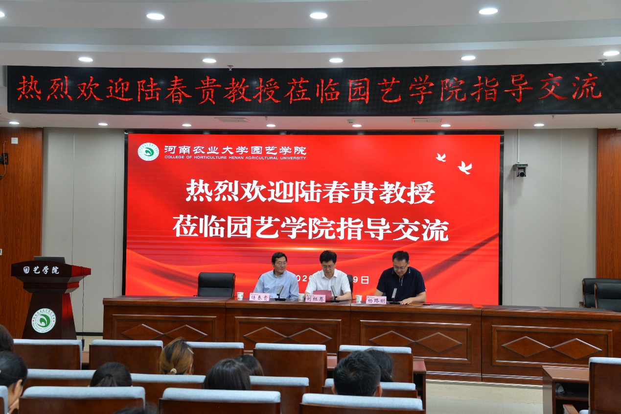 纸牌游戏在线