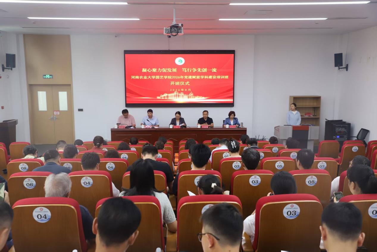 纸牌游戏在线