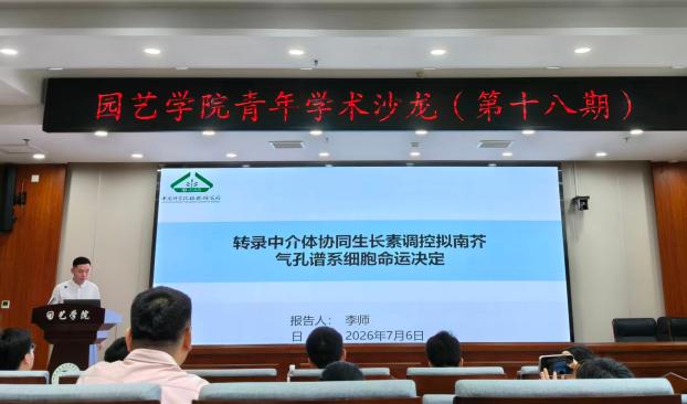 纸牌游戏在线