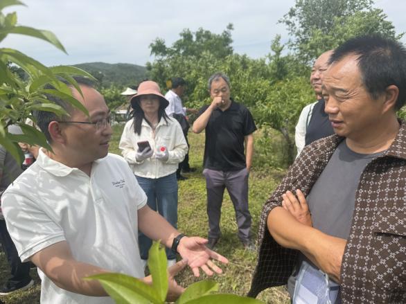 纸牌游戏在线