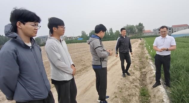 纸牌游戏在线