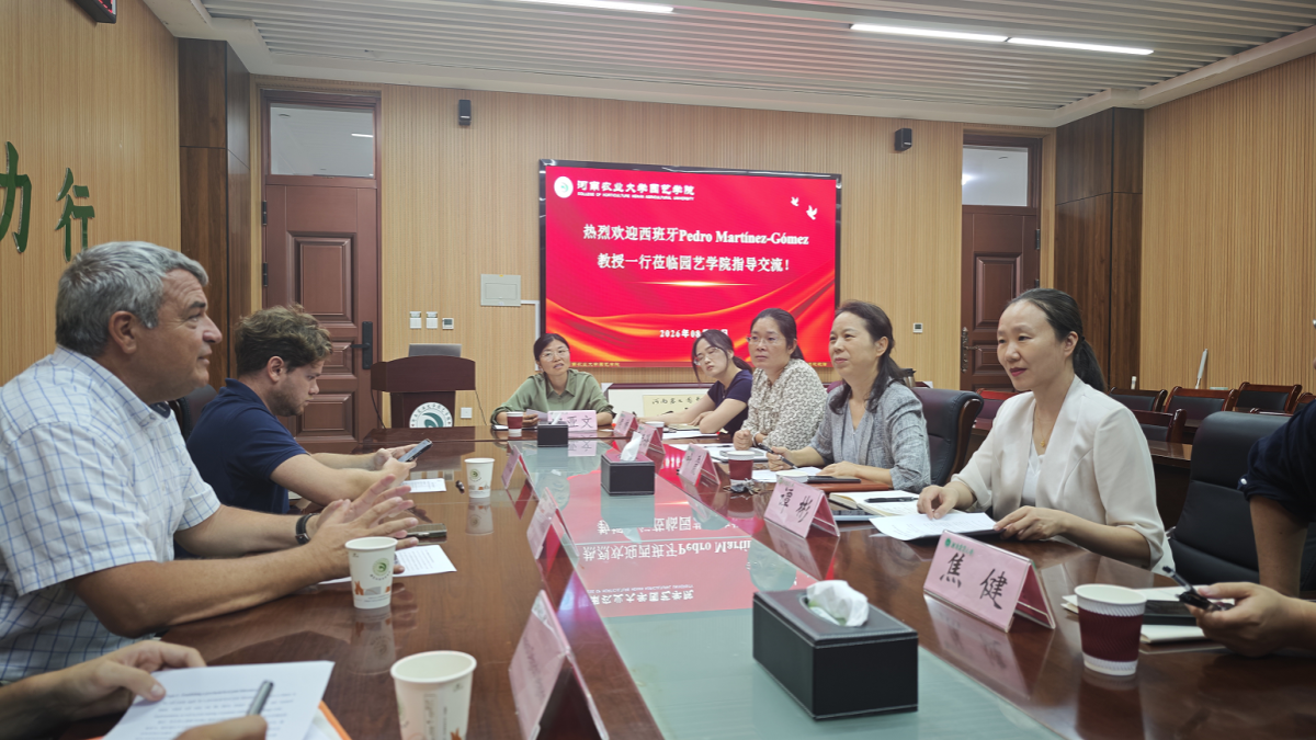 纸牌游戏在线