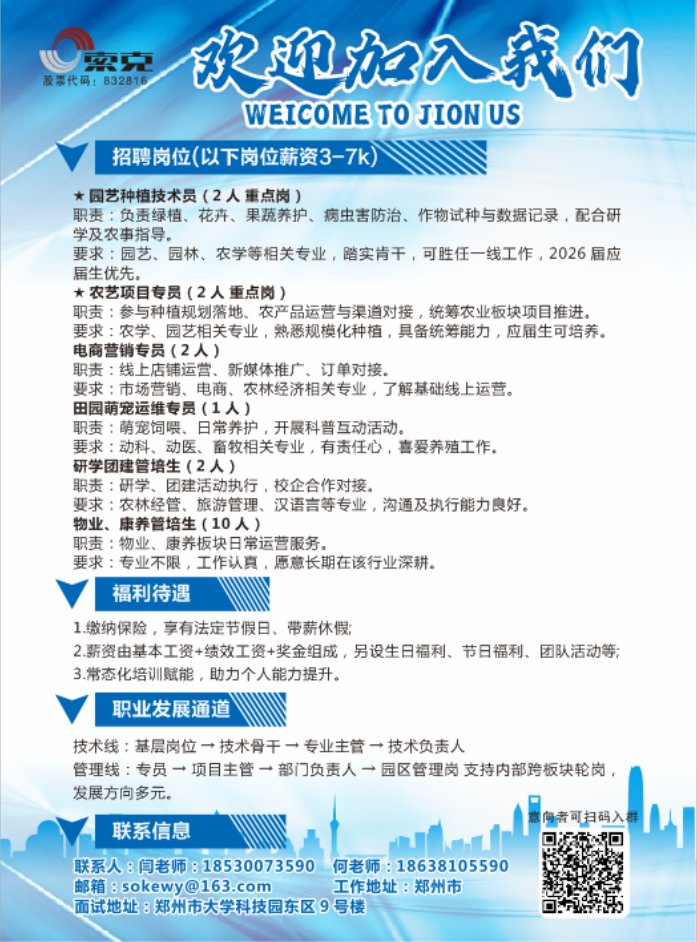 纸牌游戏在线