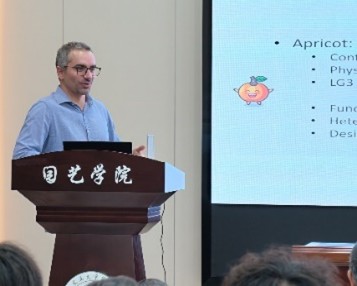 纸牌游戏在线