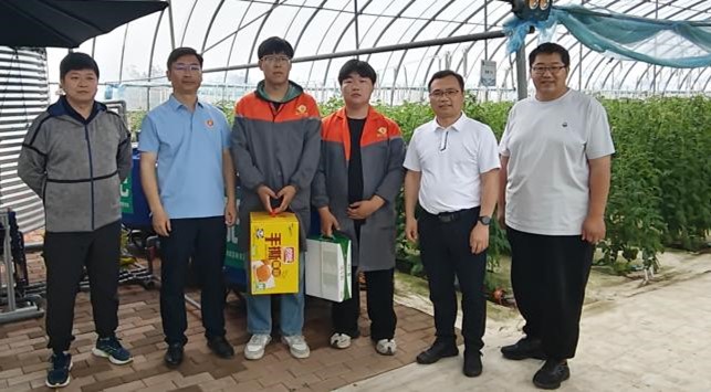 纸牌游戏在线