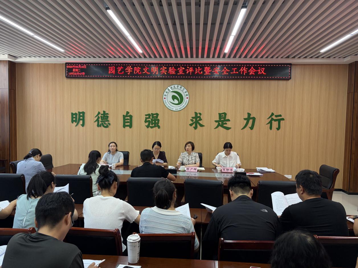 纸牌游戏在线