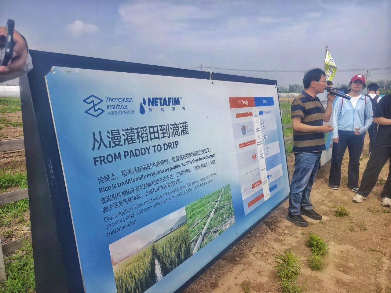 纸牌游戏在线