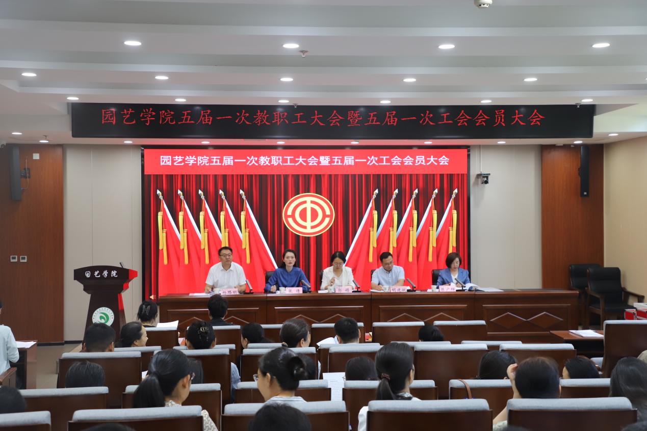 纸牌游戏在线