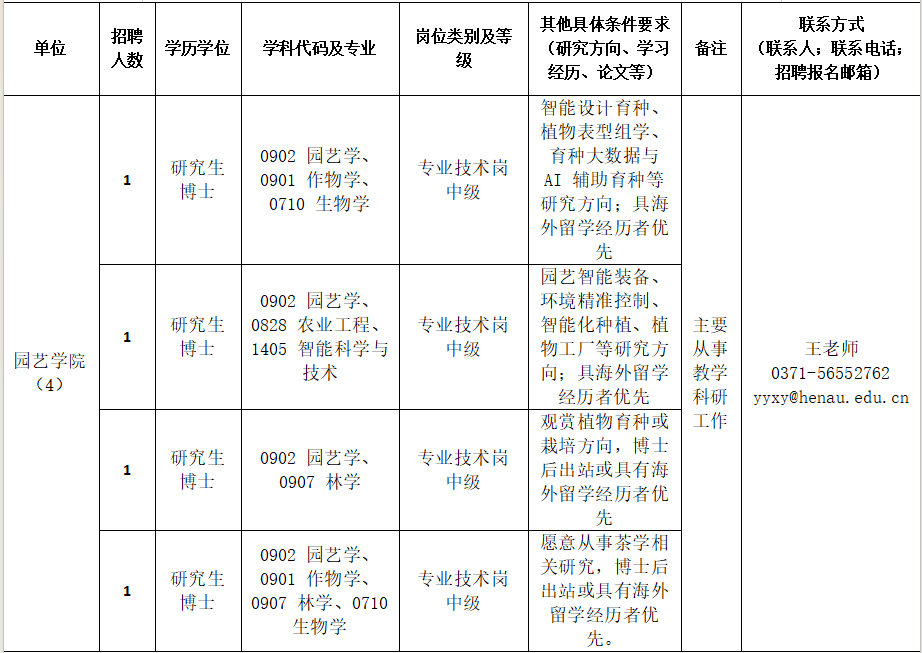 纸牌游戏在线