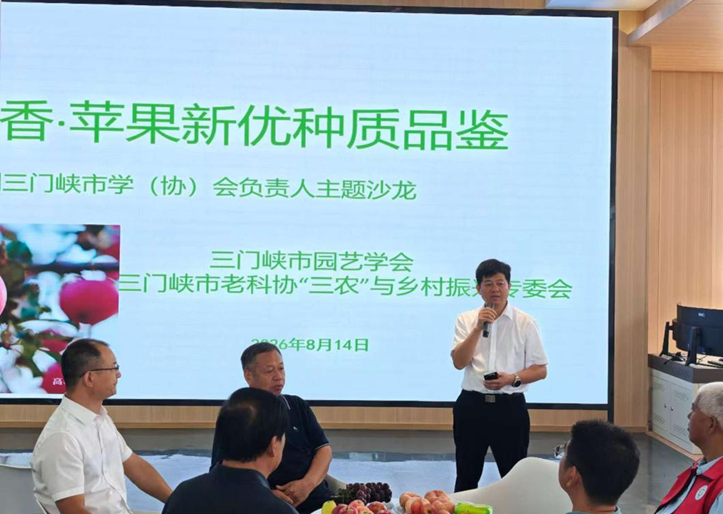 纸牌游戏在线
