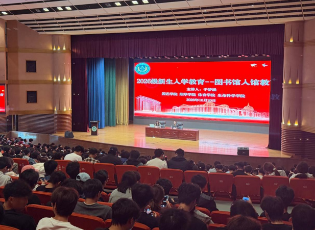 纸牌游戏在线