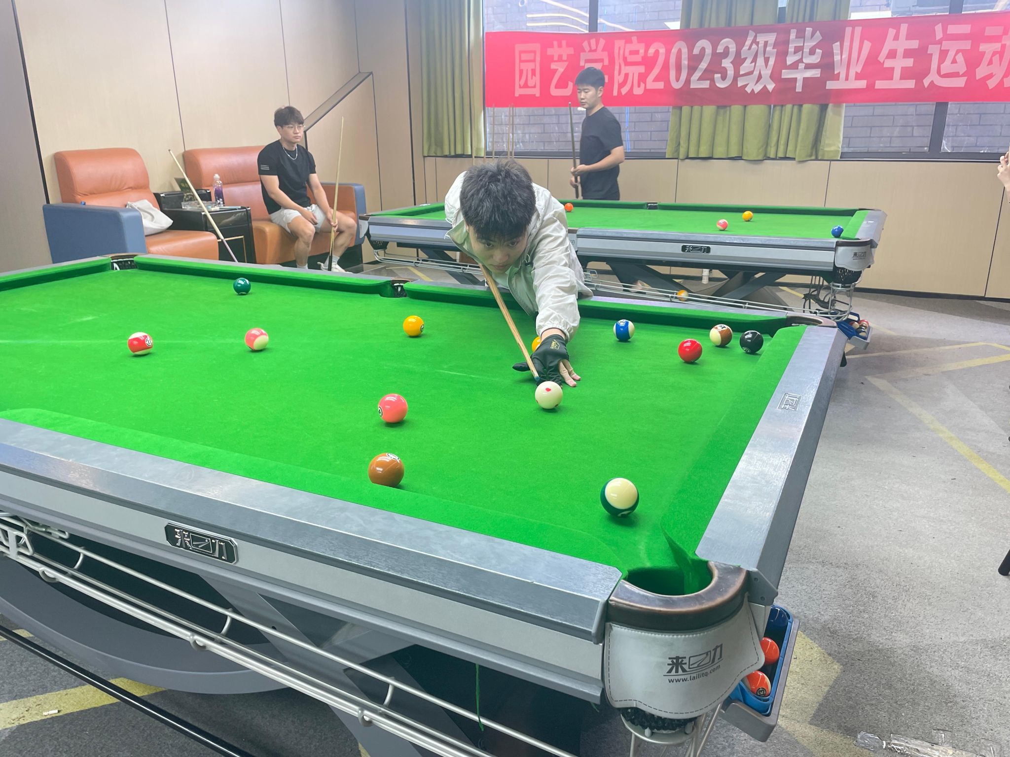 纸牌游戏在线