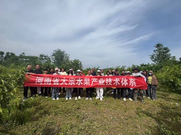 纸牌游戏在线