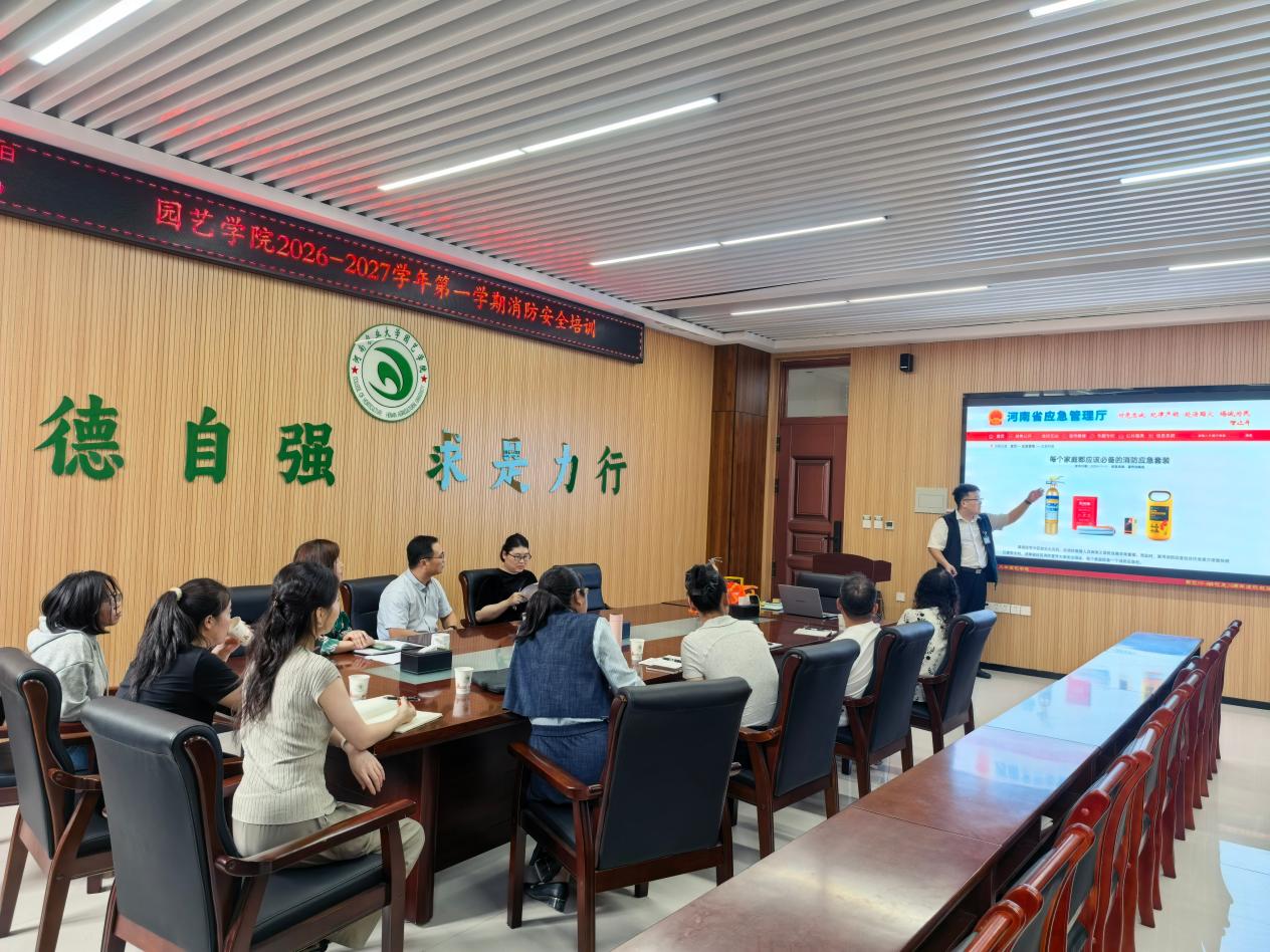 纸牌游戏在线