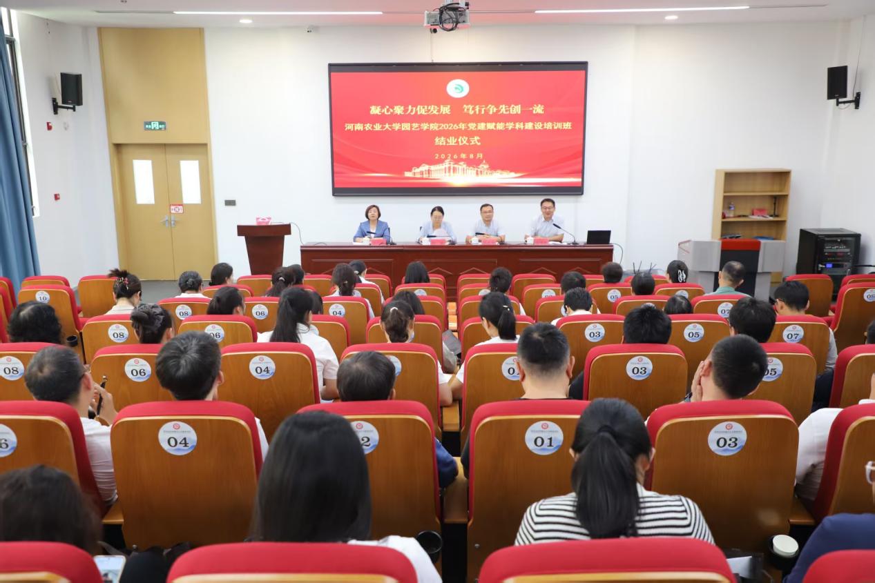 纸牌游戏在线