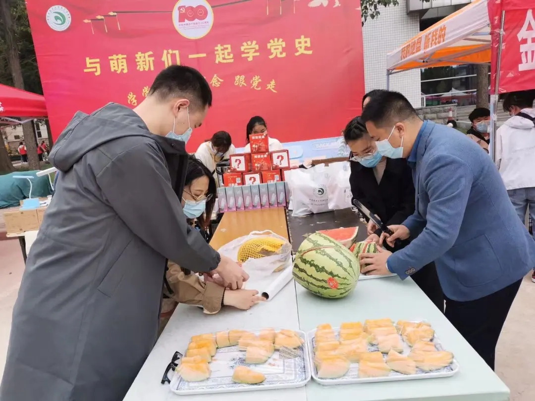 纸牌游戏在线