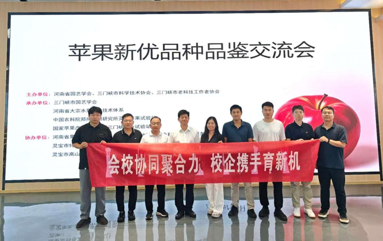 纸牌游戏在线