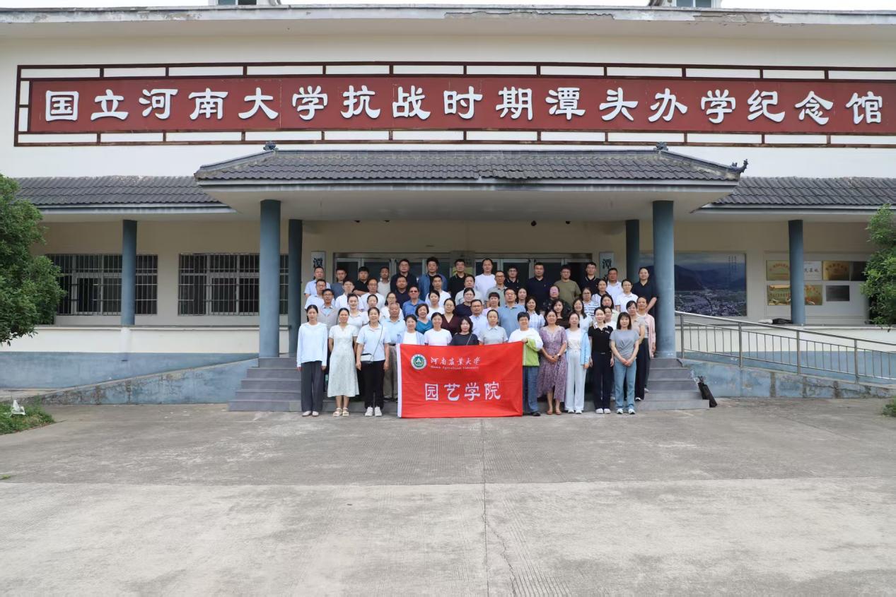 纸牌游戏在线