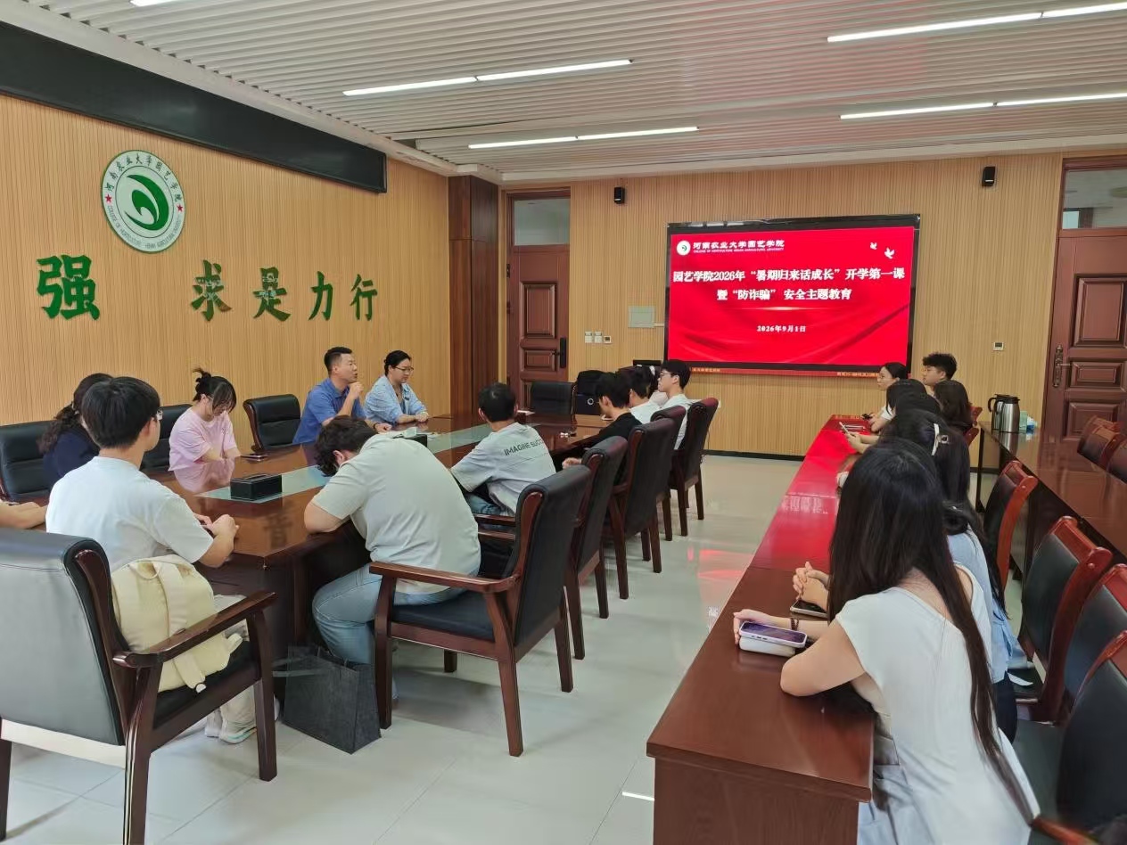 纸牌游戏在线