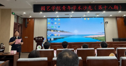 纸牌游戏在线