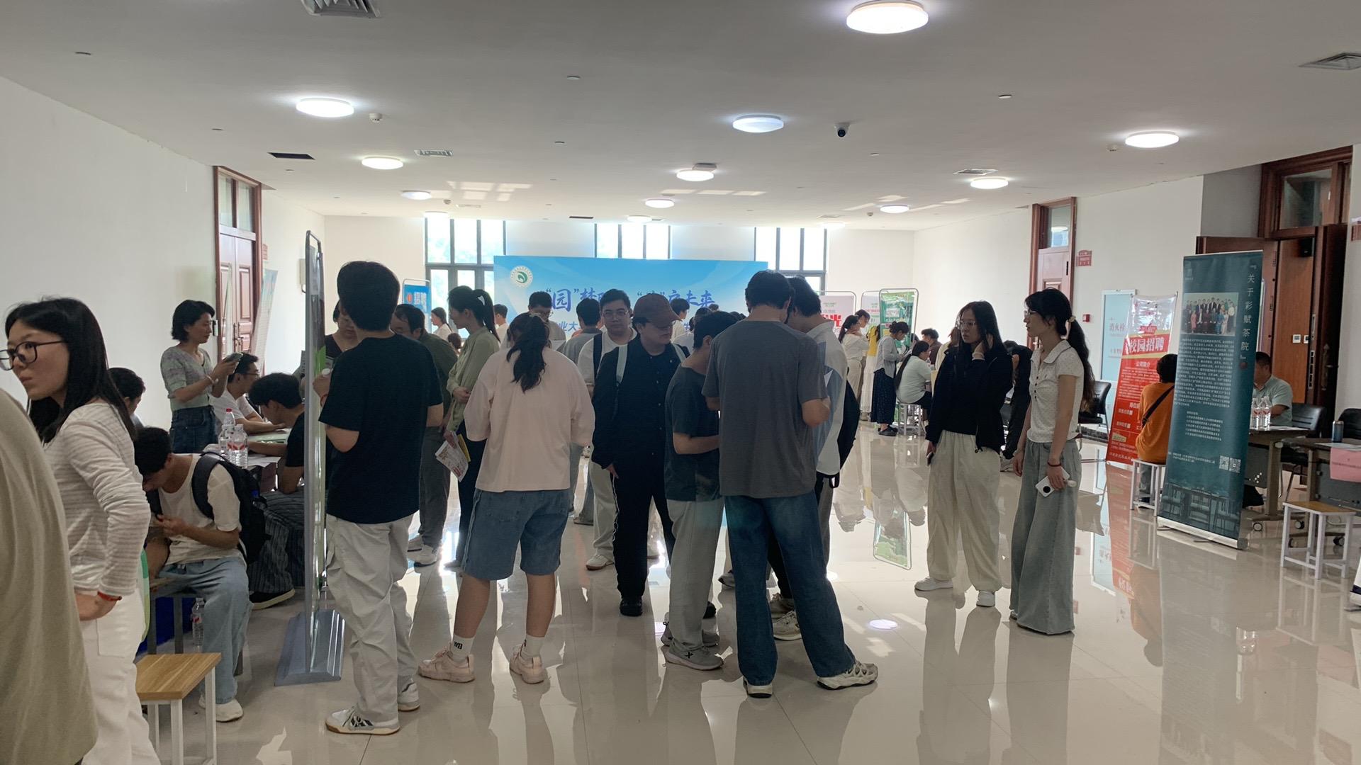 纸牌游戏在线