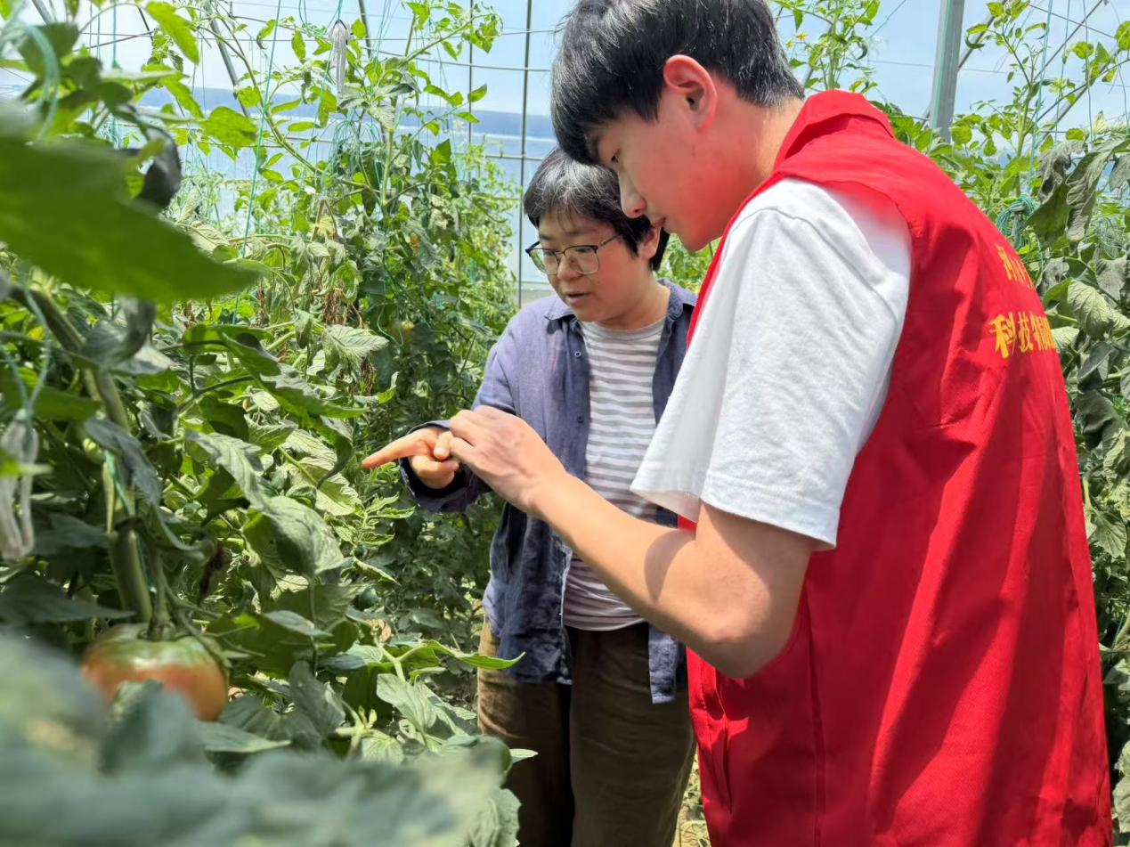 纸牌游戏在线