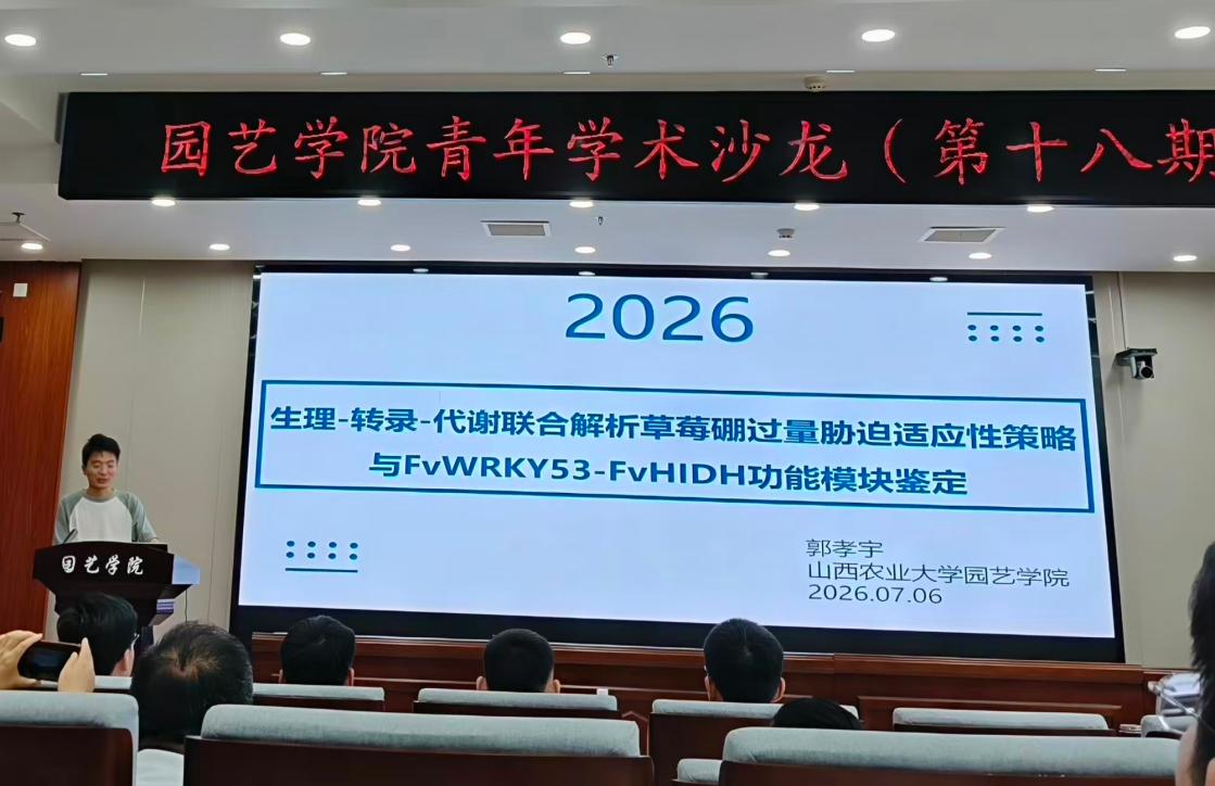 纸牌游戏在线