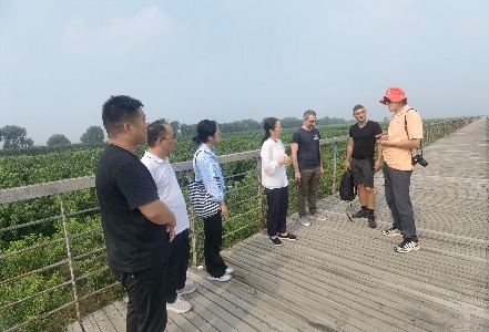 纸牌游戏在线
