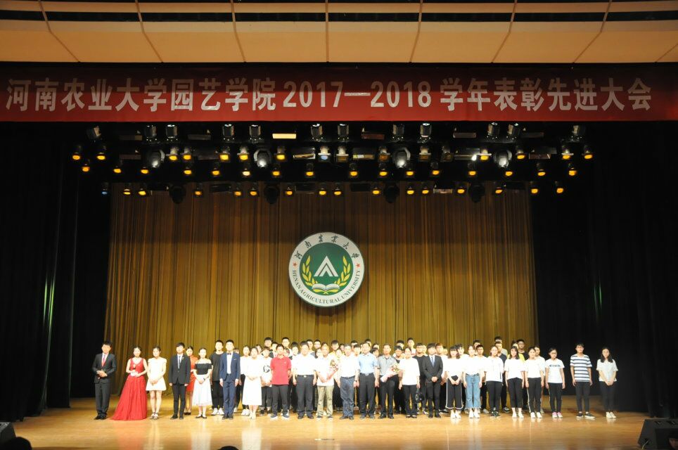 纸牌游戏在线