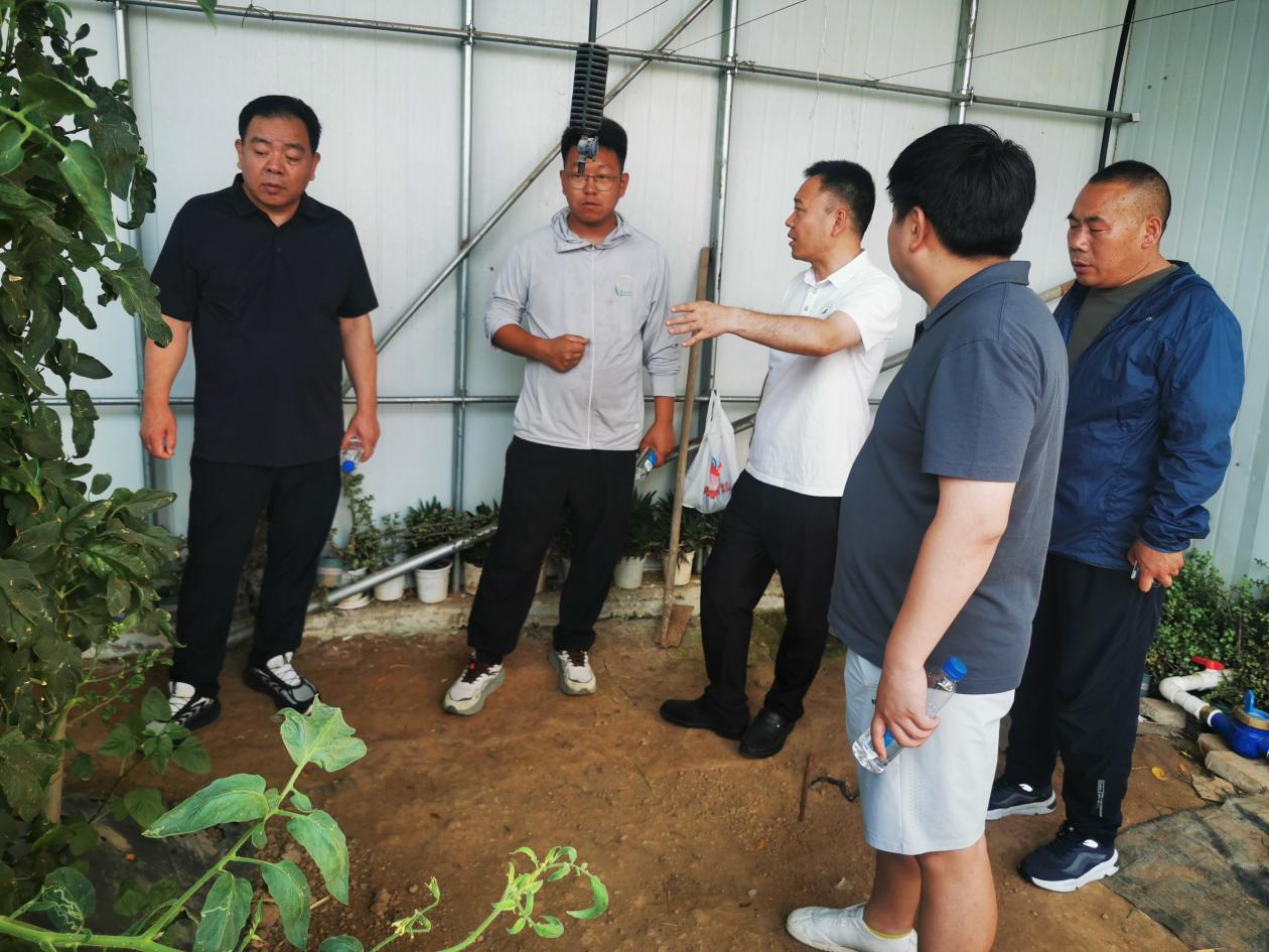 纸牌游戏在线