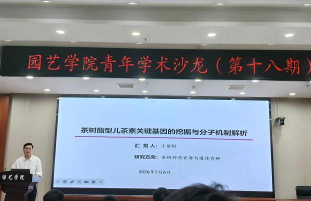 纸牌游戏在线