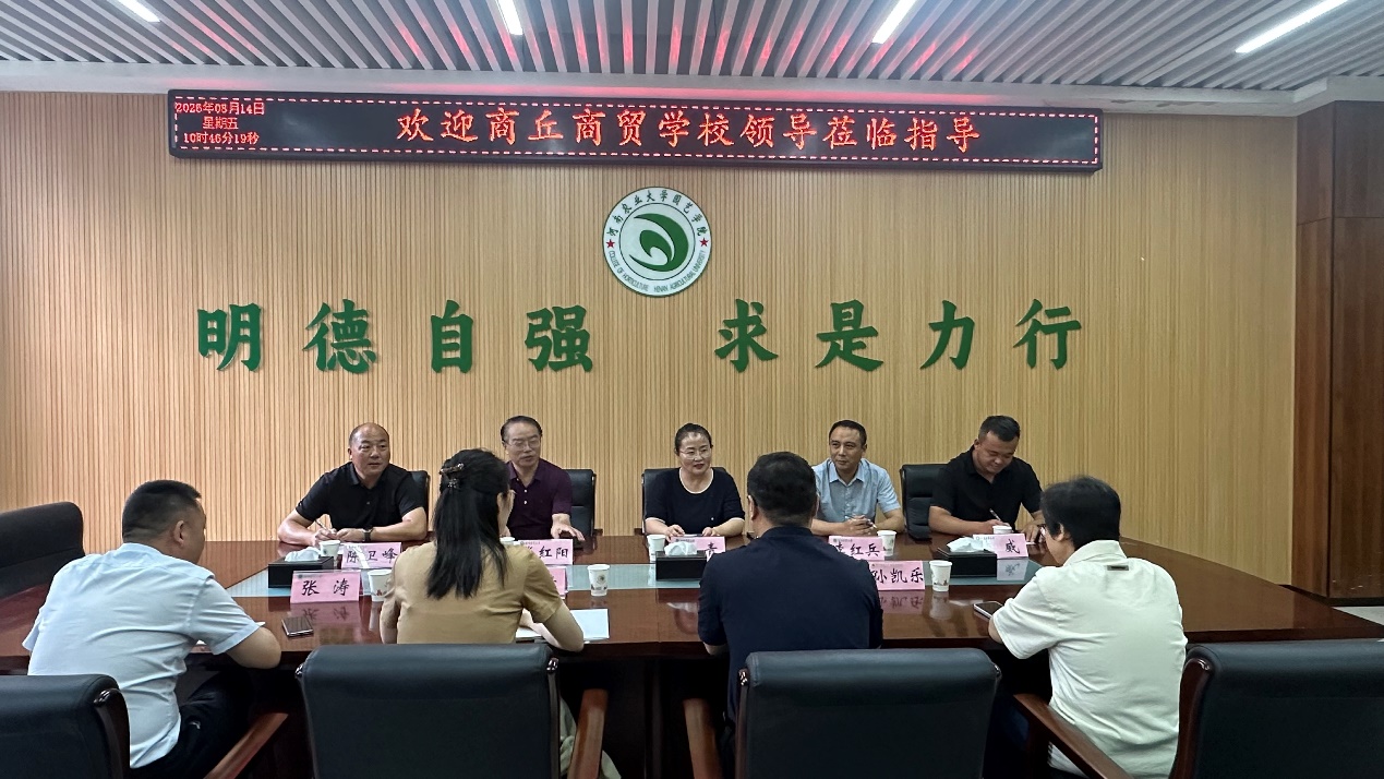 纸牌游戏在线