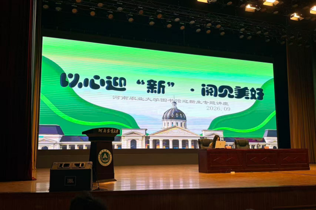 纸牌游戏在线