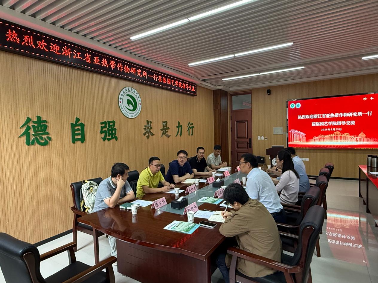 纸牌游戏在线