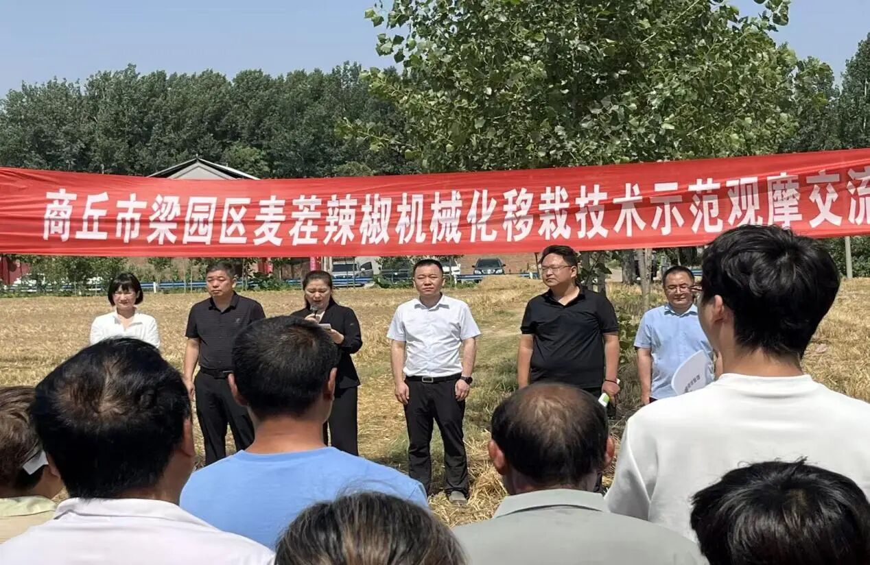 纸牌游戏在线