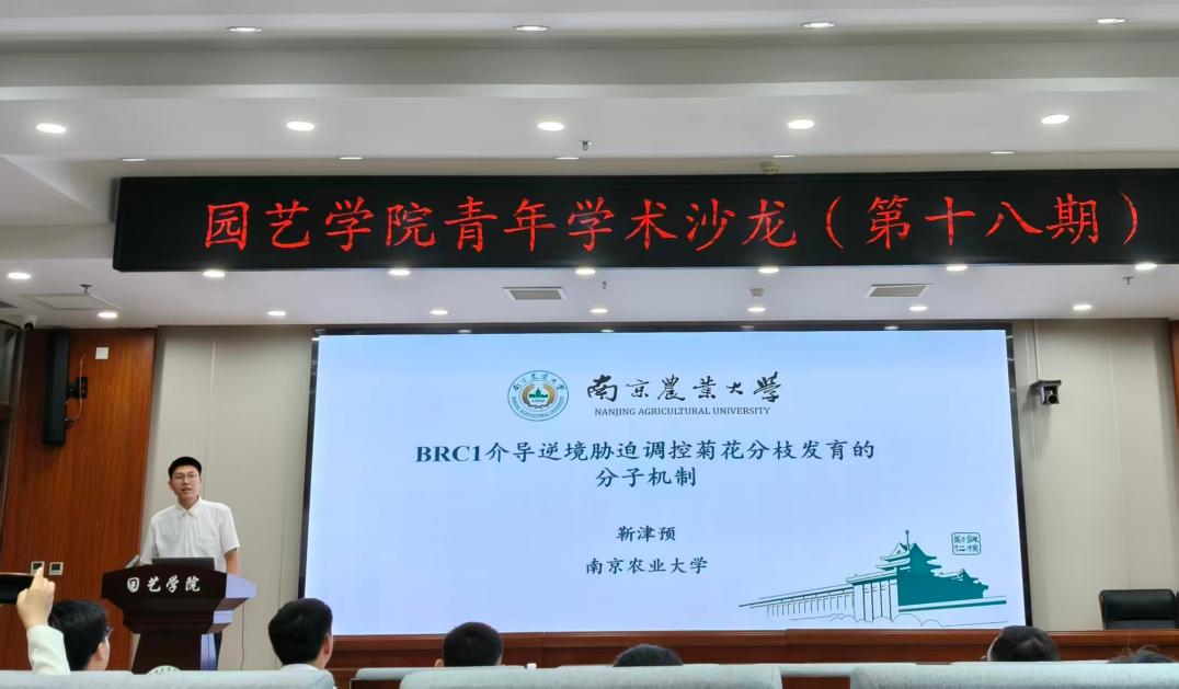 纸牌游戏在线