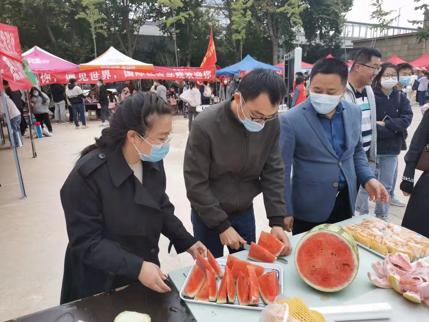 纸牌游戏在线