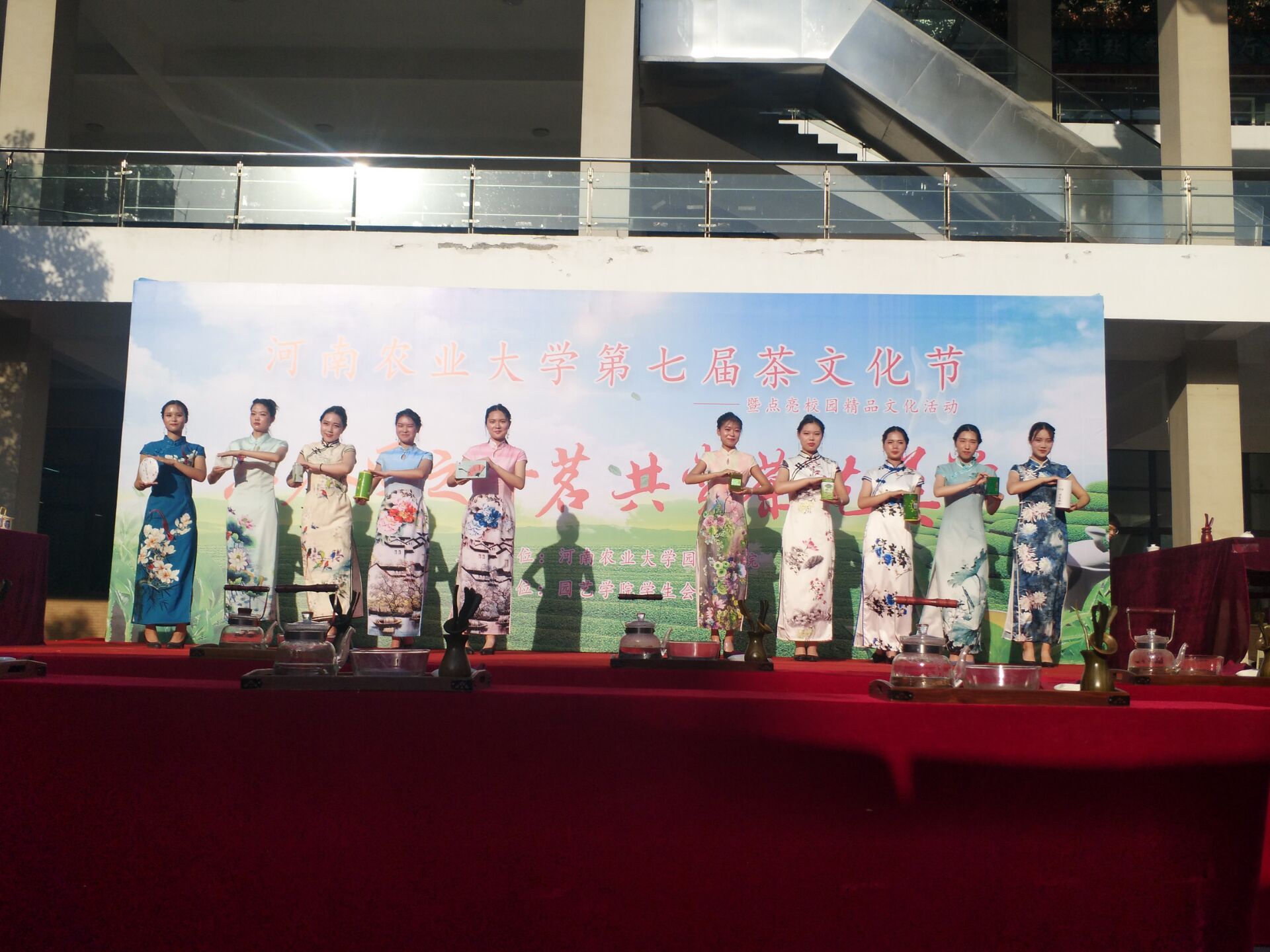 纸牌游戏在线