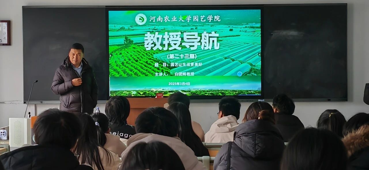 纸牌游戏在线