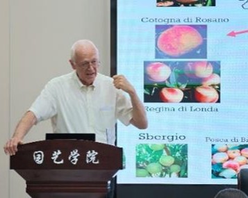 纸牌游戏在线