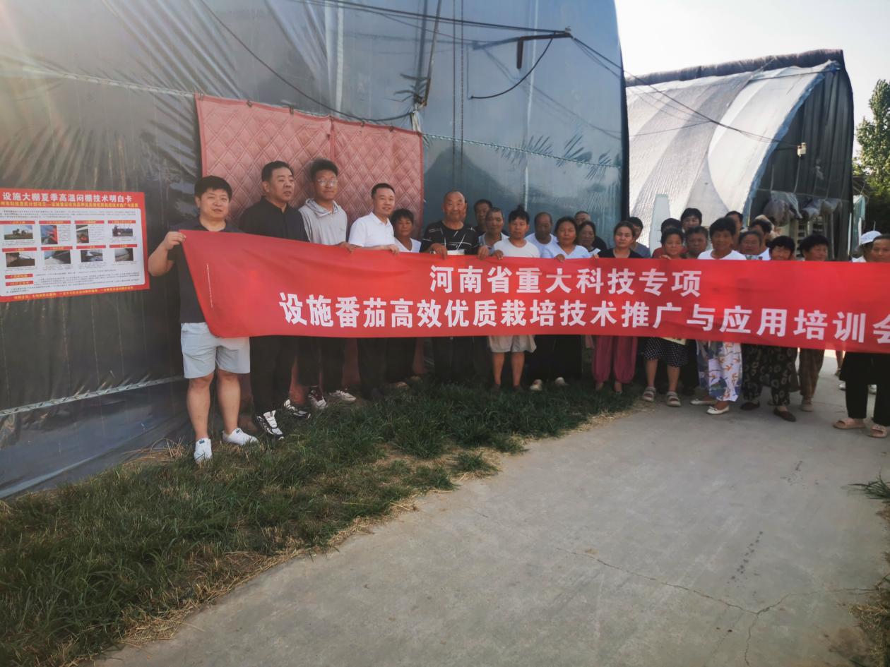 纸牌游戏在线