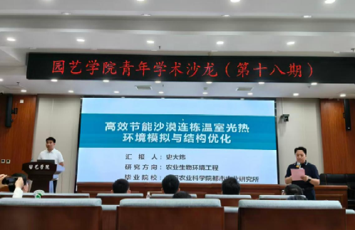 纸牌游戏在线
