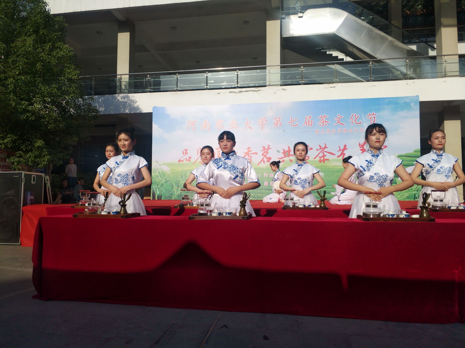 纸牌游戏在线