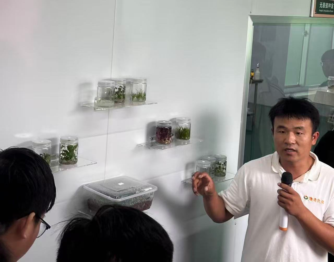 纸牌游戏在线