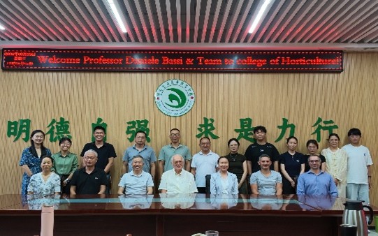 纸牌游戏在线