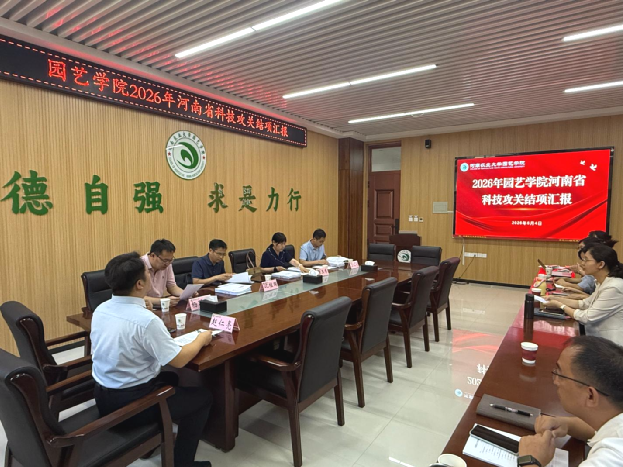 纸牌游戏在线