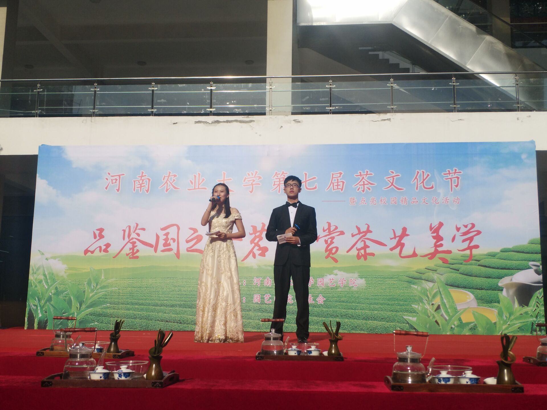 纸牌游戏在线