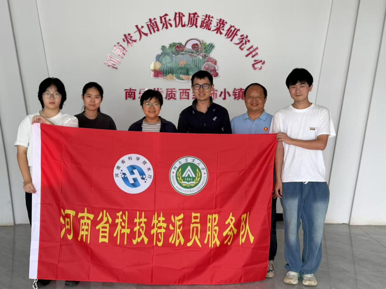 纸牌游戏在线